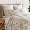Selesta Blush Euro Sham Set Of 2 - Levtex Home 2 Selesta Blush Euro Sham Set Of 2 - Levtex Home -Levtex Home Sales GUEST 2c07202e 5dbb 487d 9f5b 8ec8405735d1