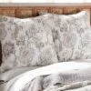 Ophelia Blush Euro Sham Set Of 2 - Levtex Home -Levtex Home Sales GUEST 3f672417 f518 4fb0 8162 0855489c1709