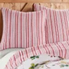 Joybirds Holiday Euro Sham Set Of 2 Red - Thatch Home 2 Joybirds Holiday Euro Sham Set Of 2 Red - Thatch Home -Levtex Home Sales GUEST efd18144 26e1 4157 a332 22514488d54f